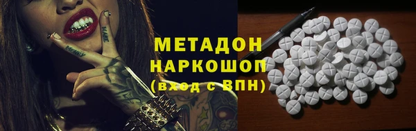 шишки Инта