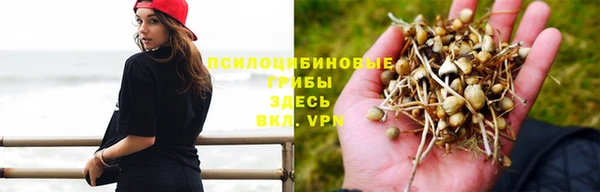 крисы Заволжск