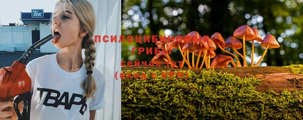 крисы Инсар
