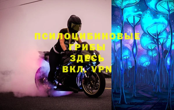 дживик Заводоуковск