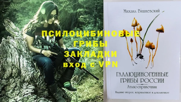 дживик Заводоуковск